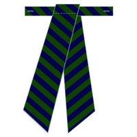 Girl's School Tie