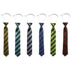 Boy's House Tie